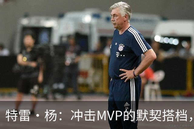 特雷·杨：冲击MVP的默契搭档，浓眉随时准备飞