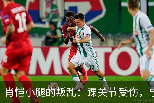 肖恺小腿的叛乱：踝关节受伤，宁波季前赛缺席！